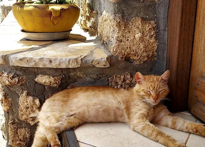 別荘 Three Hearts Ágios Pétros